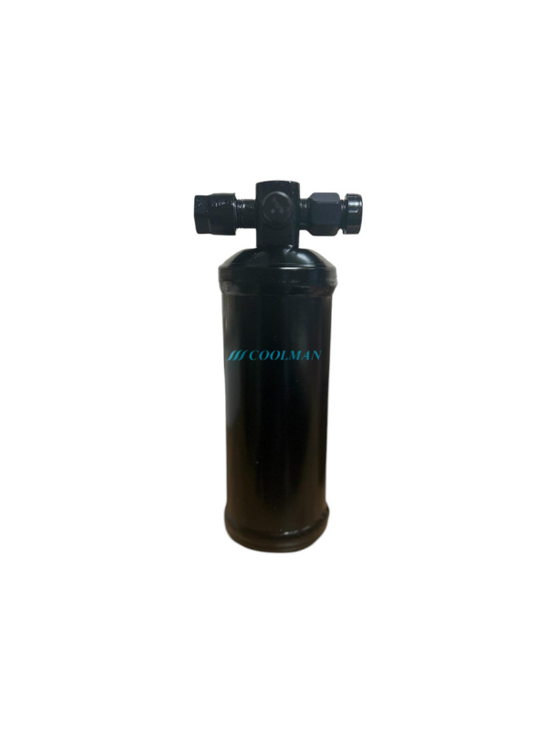 Delphi Dişi/Erkek Drayer Filtre (CLD-6274)