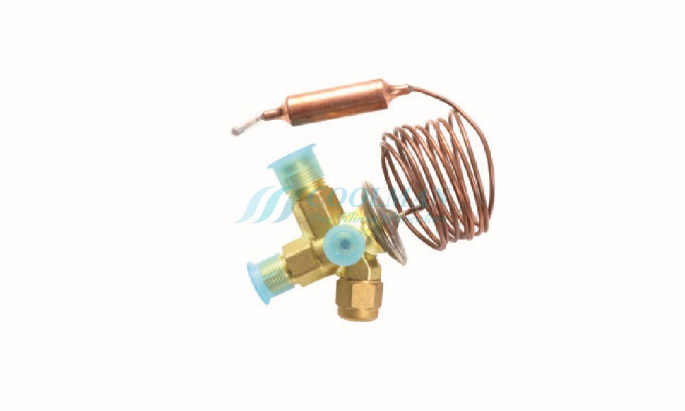 CLE-101 Expansion Valf