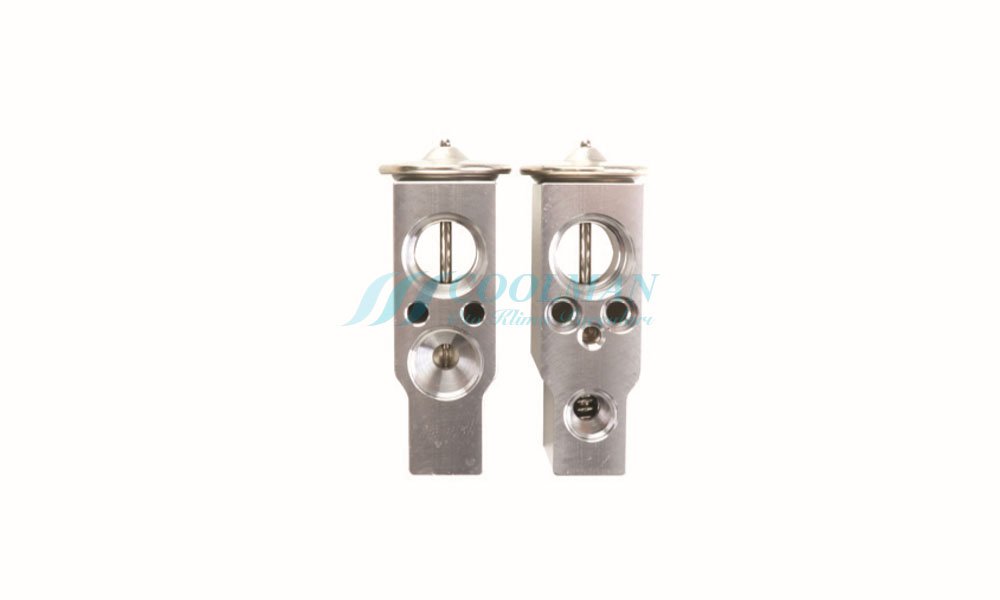 CLE-011 Expansion Valf