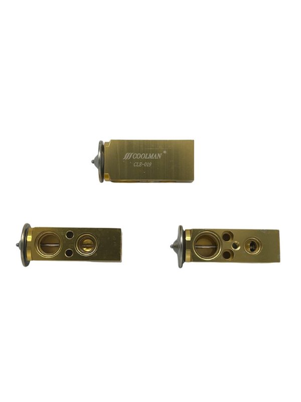 CLE-019 Expansion Valf
