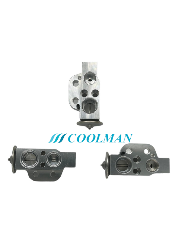 CLE-020 Expansion Valf