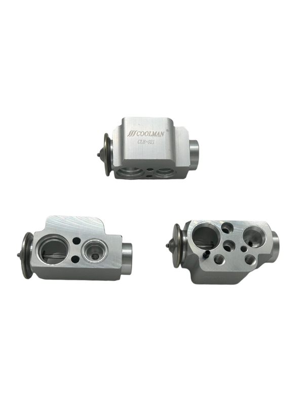 CLE-021 Expansion Valf