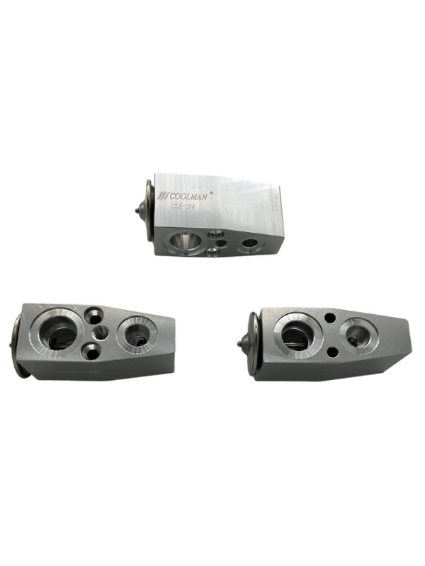 CLE-024 Expansion Valf