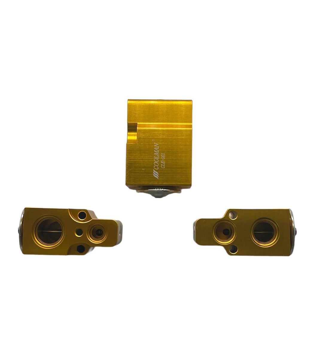 CLE-001 Expansion Valf