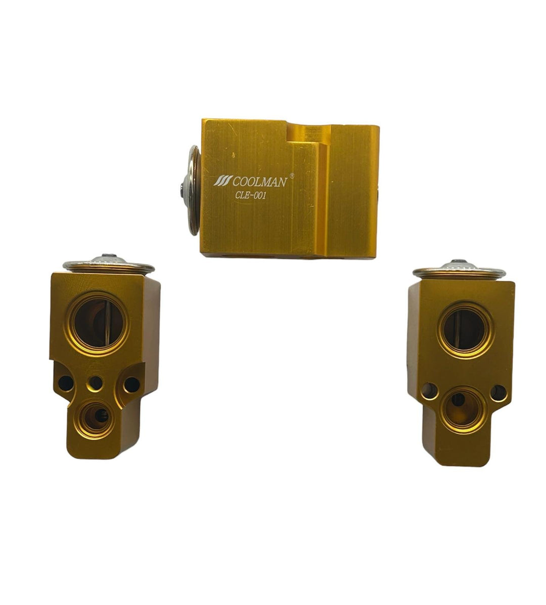CLE-001 Expansion Valf