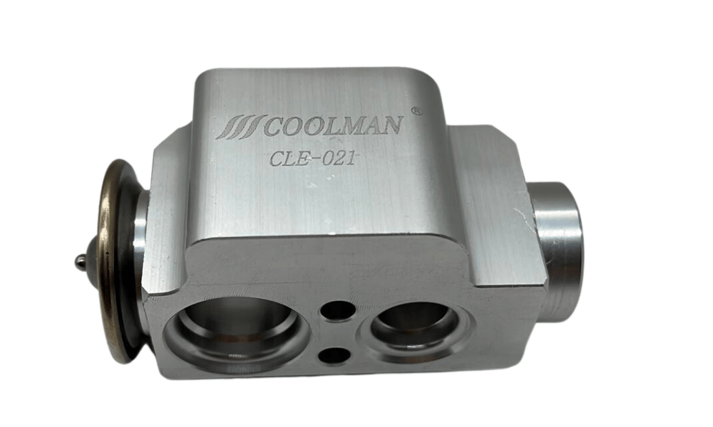 CLE-021 Expansion Valf