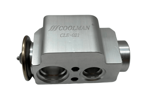 CLE-021 Expansion Valf